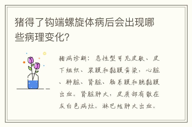 猪得了钩端螺旋体病后会出现哪些病理变化？