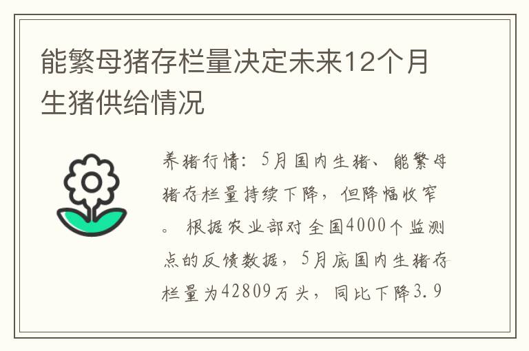能繁母猪存栏量决定未来12个月生猪供给情况