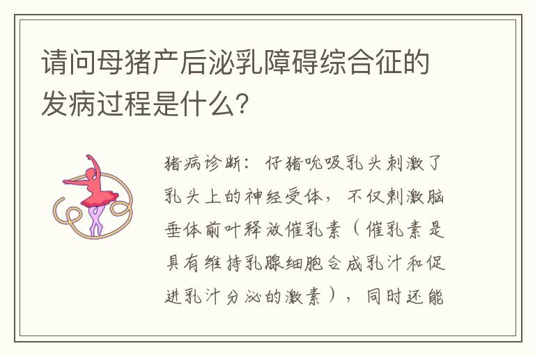 请问母猪产后泌乳障碍综合征的发病过程是什么？