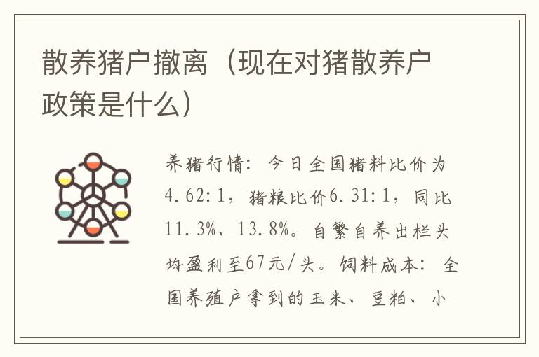 散养猪户撤离（现在对猪散养户政策是什么）