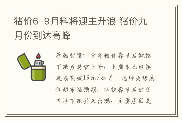 猪价6-9月料将迎主升浪 猪价九月份到达高峰