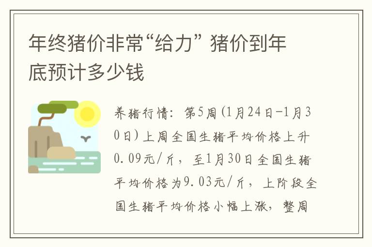 年终猪价非常“给力” 猪价到年底预计多少钱