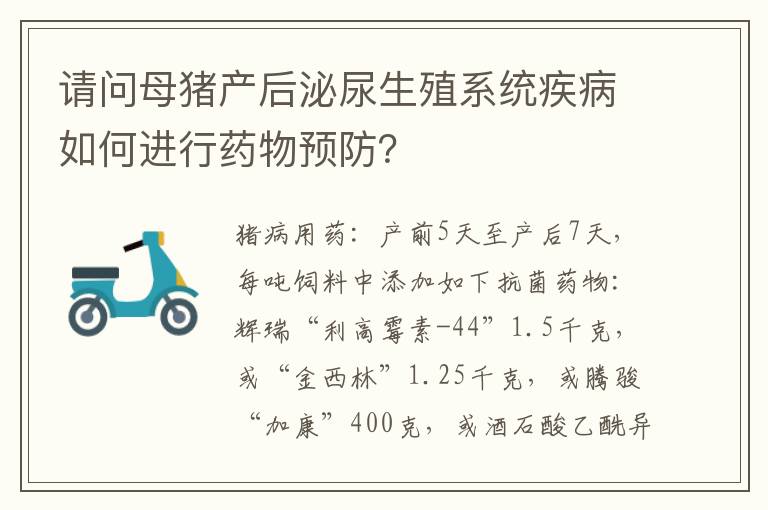 请问母猪产后泌尿生殖系统疾病如何进行药物预防？