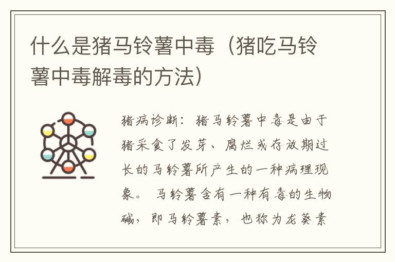 什么是猪马铃薯中毒（猪吃马铃薯中毒解毒的方法）
