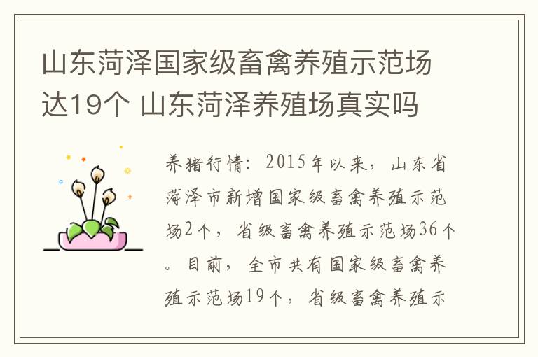 山东菏泽国家级畜禽养殖示范场达19个 山东菏泽养殖场真实吗