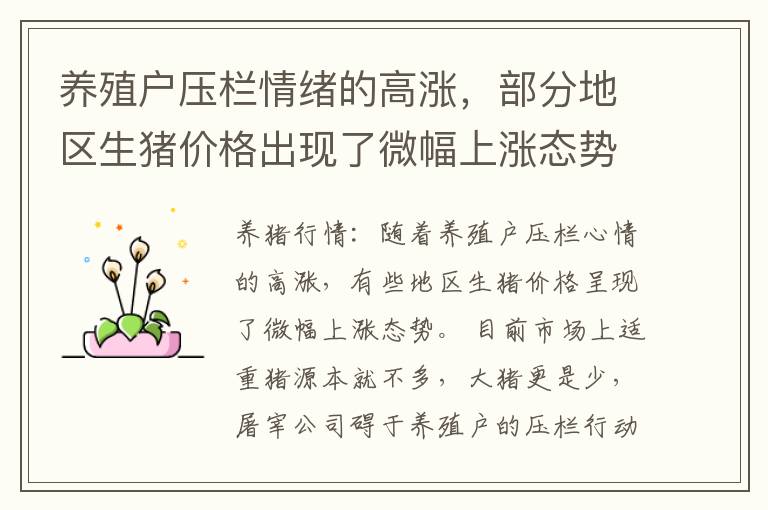 养殖户压栏情绪的高涨，部分地区生猪价格出现了微幅上涨态势
