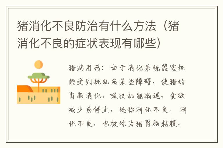 猪消化不良防治有什么方法（猪消化不良的症状表现有哪些）