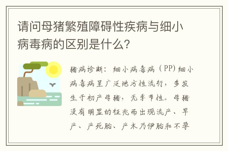 请问母猪繁殖障碍性疾病与细小病毒病的区别是什么？