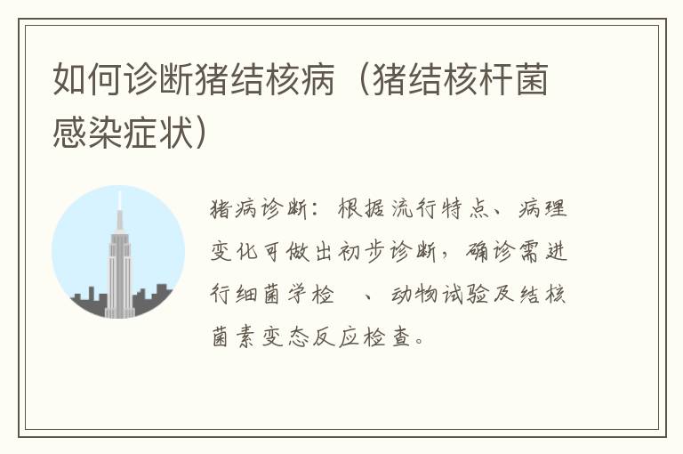 如何诊断猪结核病（猪结核杆菌感染症状）