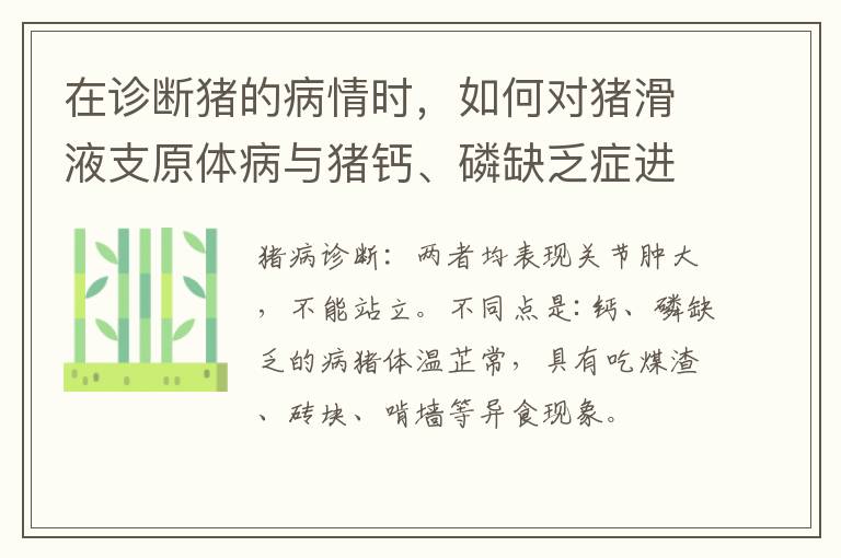 在诊断猪的病情时，如何对猪滑液支原体病与猪钙、磷缺乏症进行鉴别