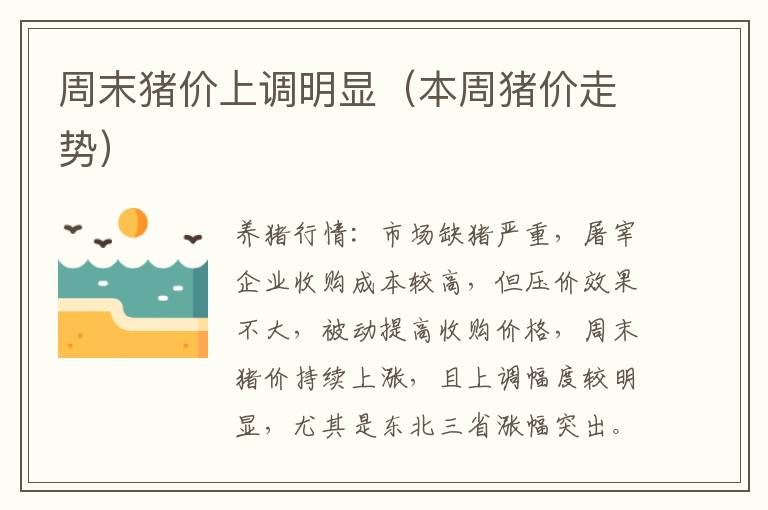 周末猪价上调明显（本周猪价走势）