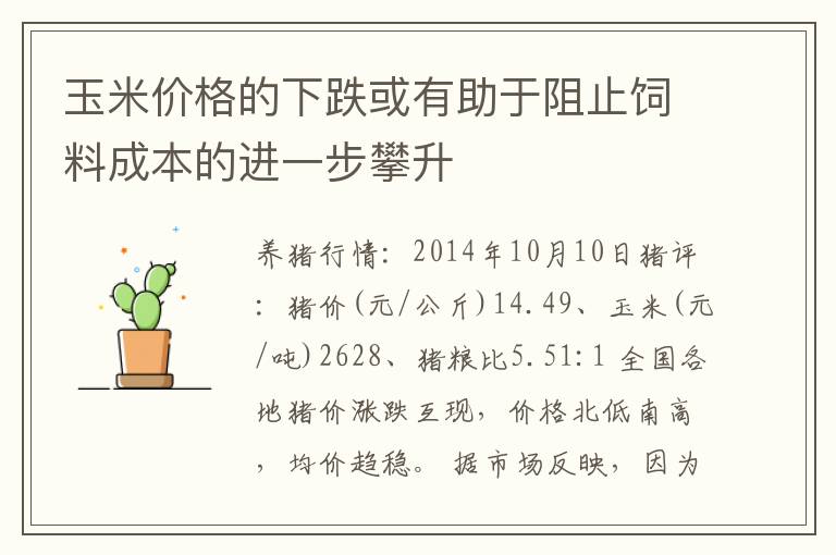 玉米价格的下跌或有助于阻止饲料成本的进一步攀升