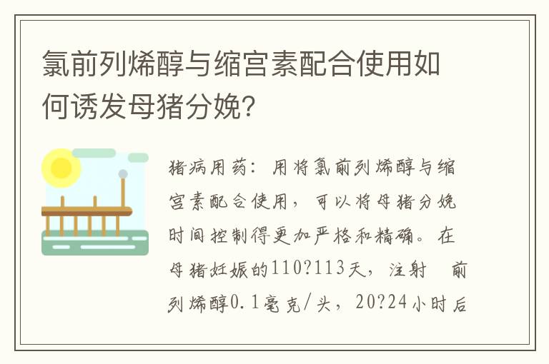 氯前列烯醇与缩宫素配合使用如何诱发母猪分娩？