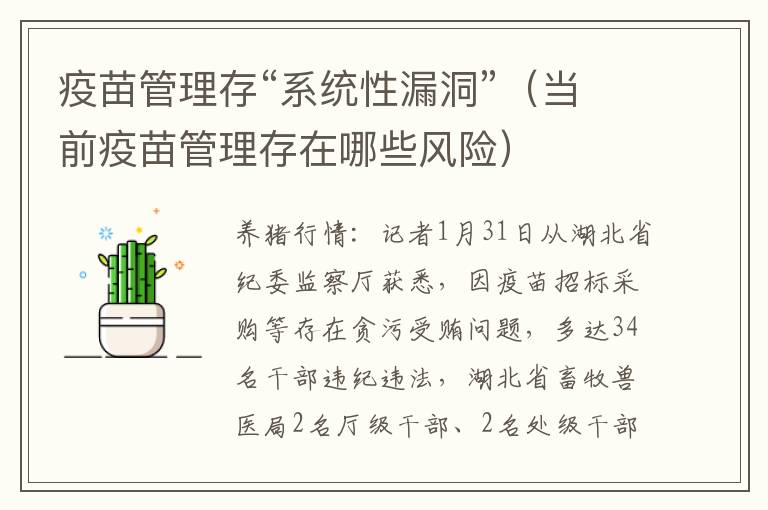 疫苗管理存“系统性漏洞”（当前疫苗管理存在哪些风险）