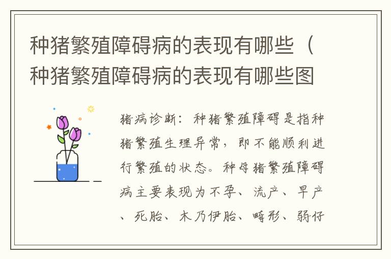 种猪繁殖障碍病的表现有哪些（种猪繁殖障碍病的表现有哪些图片）