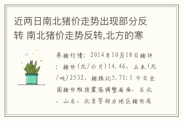 近两日南北猪价走势出现部分反转 南北猪价走势反转,北方的寒冬将过去?