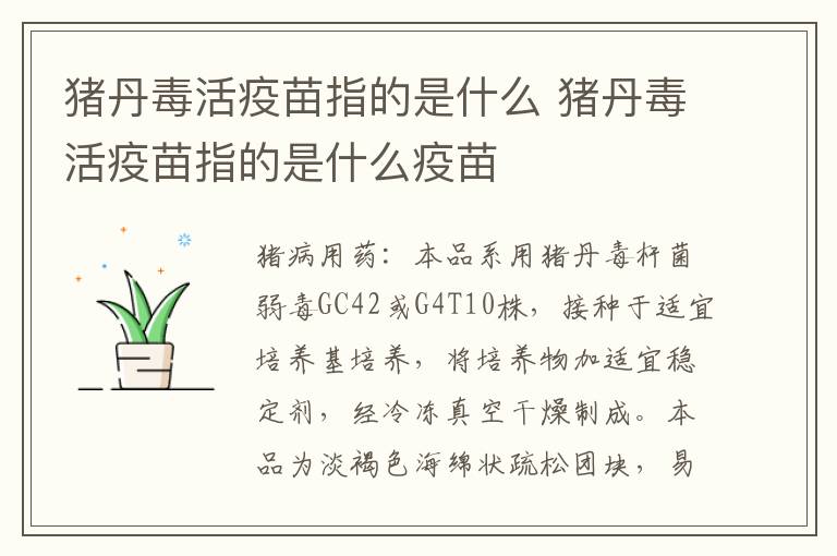 猪丹毒活疫苗指的是什么 猪丹毒活疫苗指的是什么疫苗
