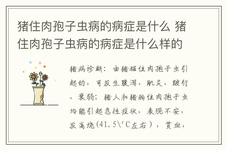猪住肉孢子虫病的病症是什么 猪住肉孢子虫病的病症是什么样的