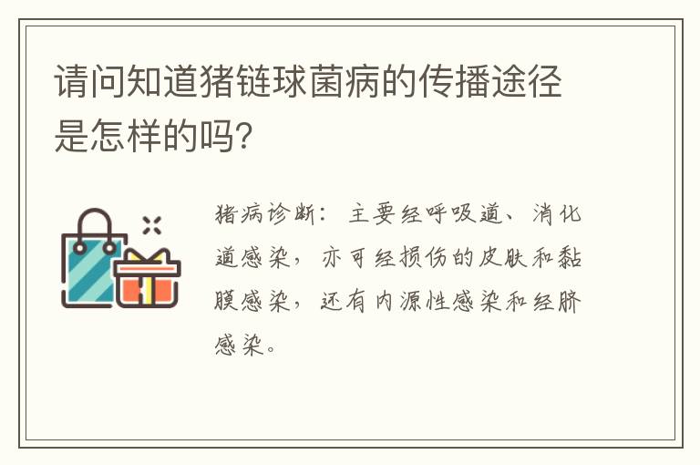 请问知道猪链球菌病的传播途径是怎样的吗？
