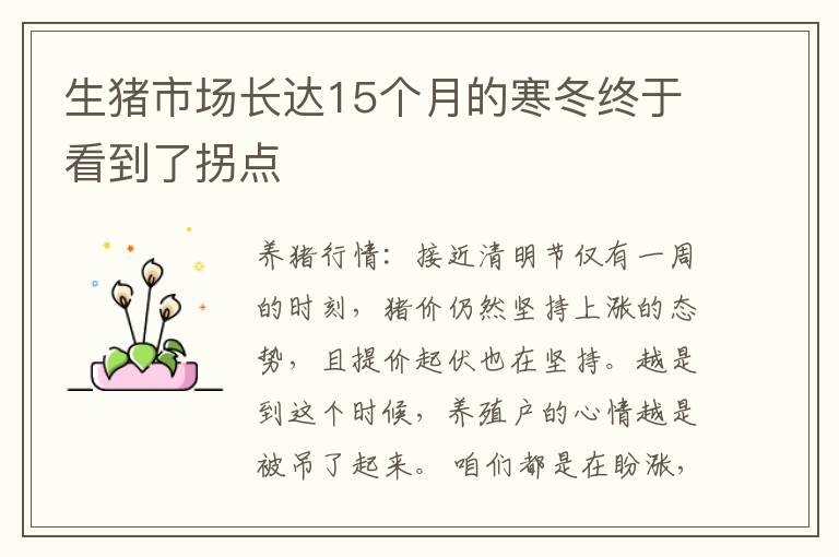 生猪市场长达15个月的寒冬终于看到了拐点
