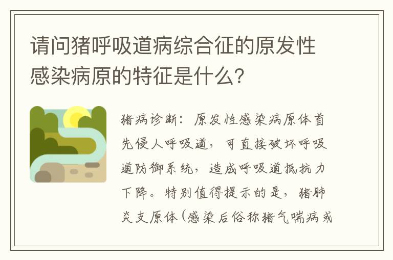 请问猪呼吸道病综合征的原发性感染病原的特征是什么？