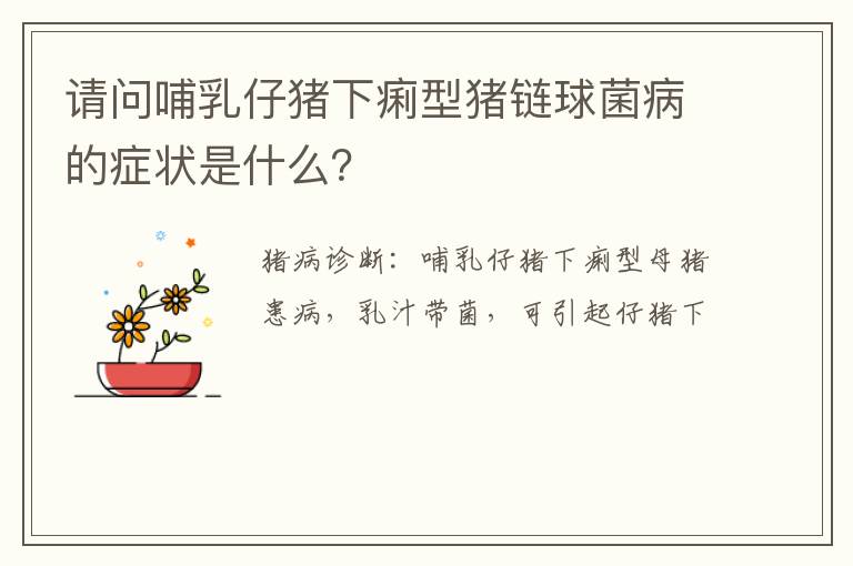 请问哺乳仔猪下痢型猪链球菌病的症状是什么？
