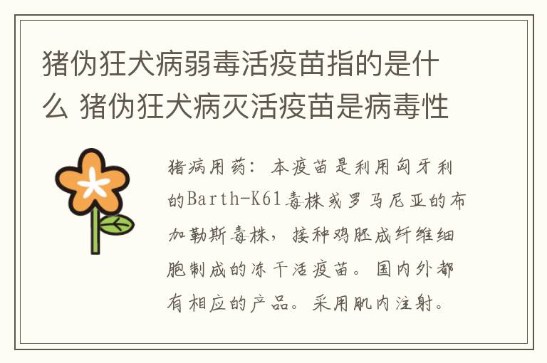 猪伪狂犬病弱毒活疫苗指的是什么 猪伪狂犬病灭活疫苗是病毒性疫苗吗?