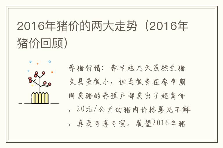 2016年猪价的两大走势（2016年猪价回顾）