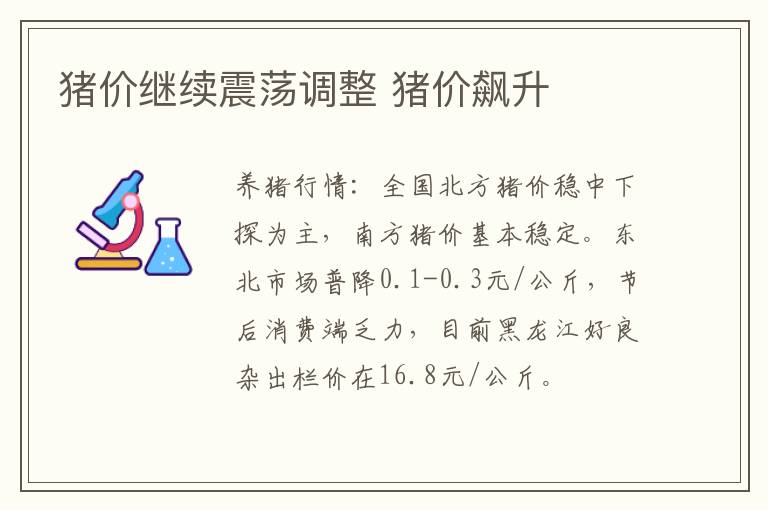 猪价继续震荡调整 猪价飙升