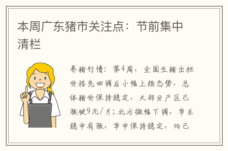 本周广东猪市关注点：节前集中清栏