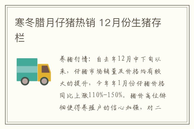 寒冬腊月仔猪热销 12月份生猪存栏