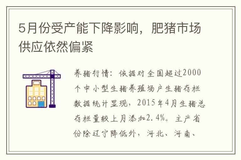 5月份受产能下降影响，肥猪市场供应依然偏紧