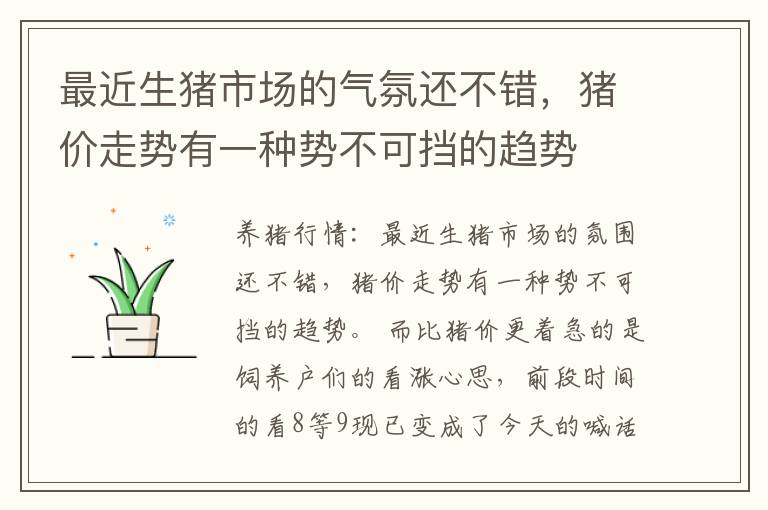最近生猪市场的气氛还不错，猪价走势有一种势不可挡的趋势