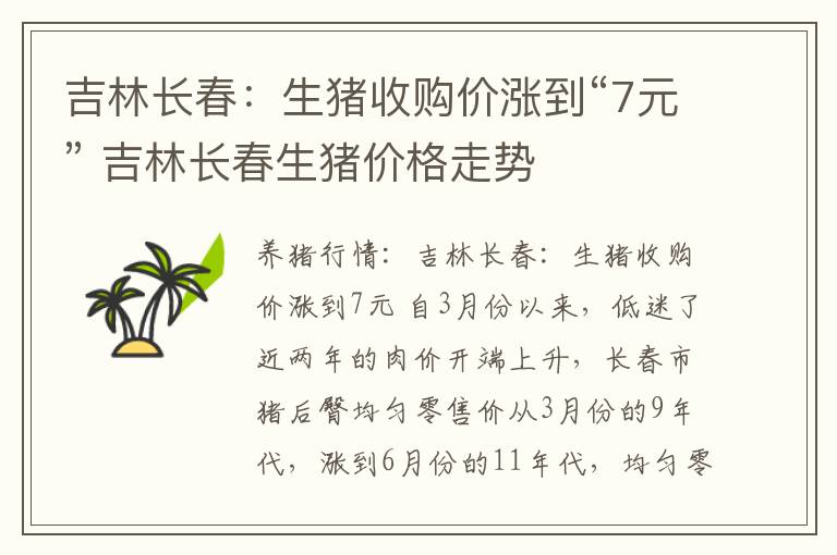 吉林长春：生猪收购价涨到“7元” 吉林长春生猪价格走势