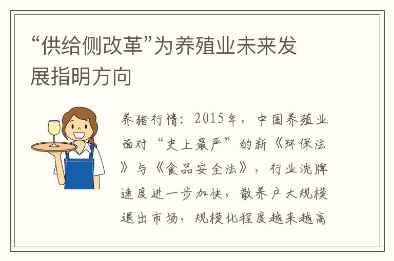 “供给侧改革”为养殖业未来发展指明方向