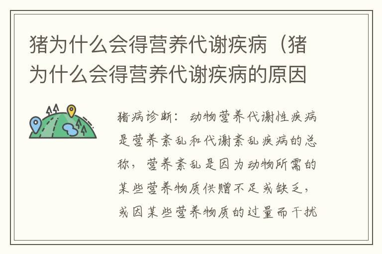 猪为什么会得营养代谢疾病（猪为什么会得营养代谢疾病的原因）