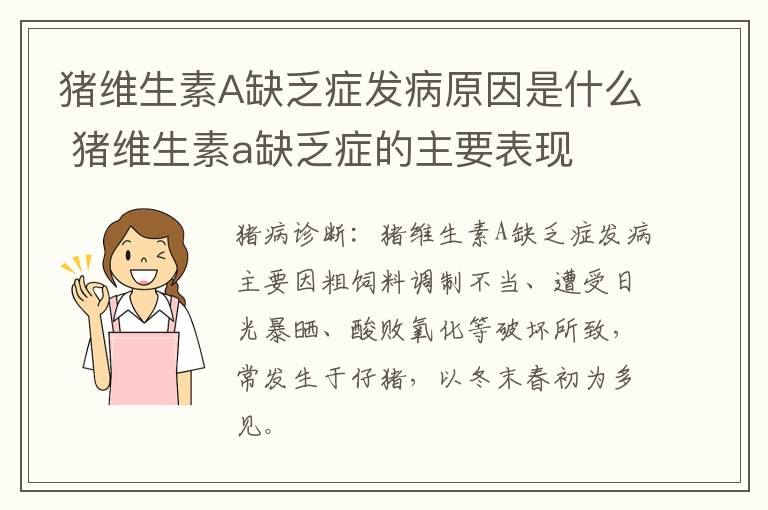 猪维生素A缺乏症发病原因是什么 猪维生素a缺乏症的主要表现