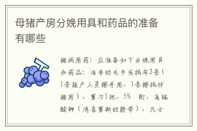 母猪产房分娩用具和药品的准备有哪些