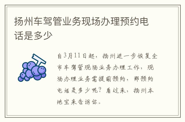 扬州车驾管业务现场办理预约电话是多少