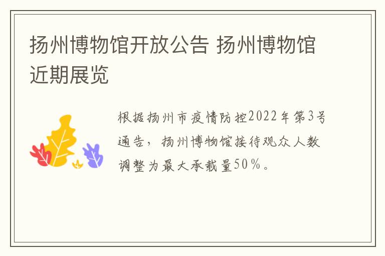 扬州博物馆开放公告 扬州博物馆近期展览