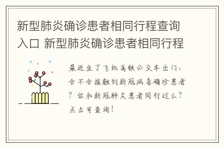 新型肺炎确诊患者相同行程查询入口 新型肺炎确诊患者相同行程查询工具