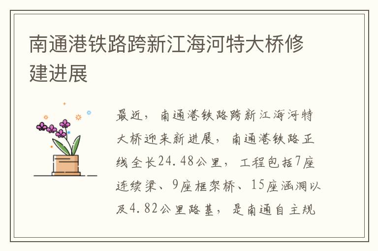 南通港铁路跨新江海河特大桥修建进展