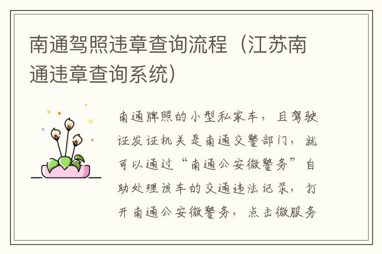 南通驾照违章查询流程（江苏南通违章查询系统）