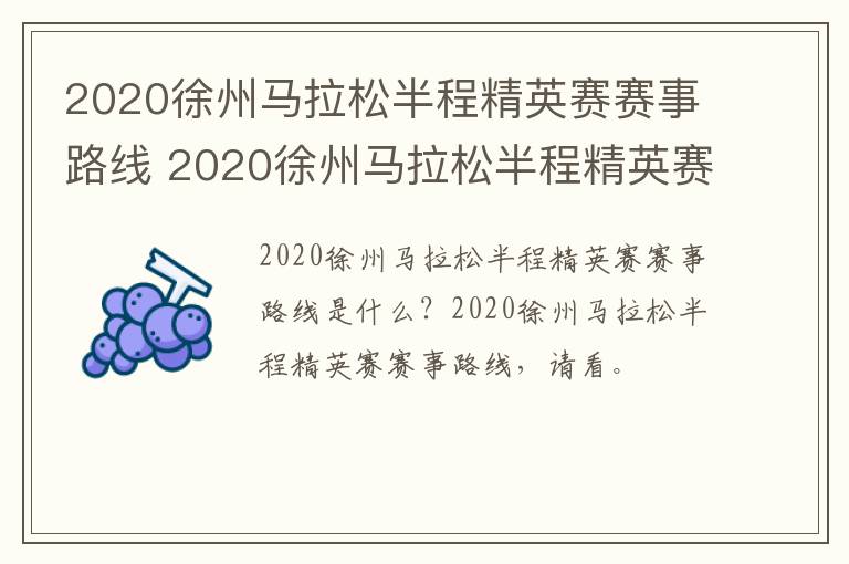 2020徐州马拉松半程精英赛赛事路线 2020徐州马拉松半程精英赛成绩查询
