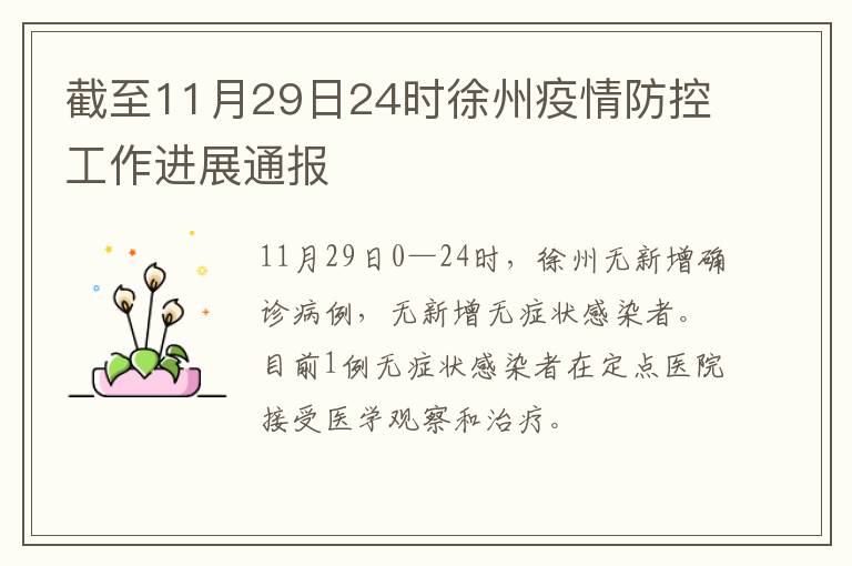 截至11月29日24时徐州疫情防控工作进展通报
