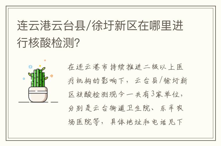 连云港云台县/徐圩新区在哪里进行核酸检测？