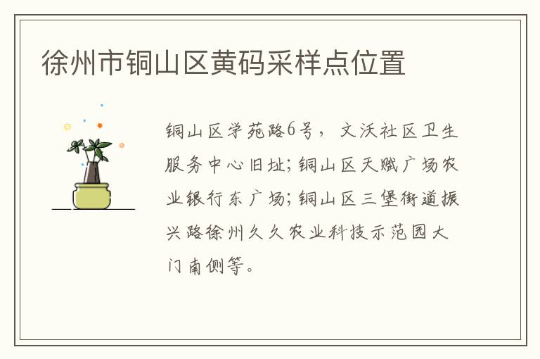 徐州市铜山区黄码采样点位置