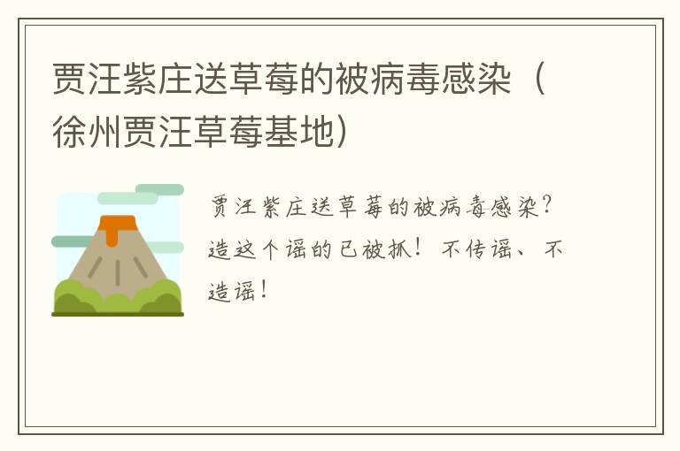 贾汪紫庄送草莓的被病毒感染（徐州贾汪草莓基地）