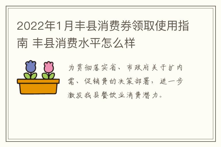 2022年1月丰县消费券领取使用指南 丰县消费水平怎么样