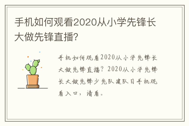 手机如何观看2020从小学先锋长大做先锋直播？